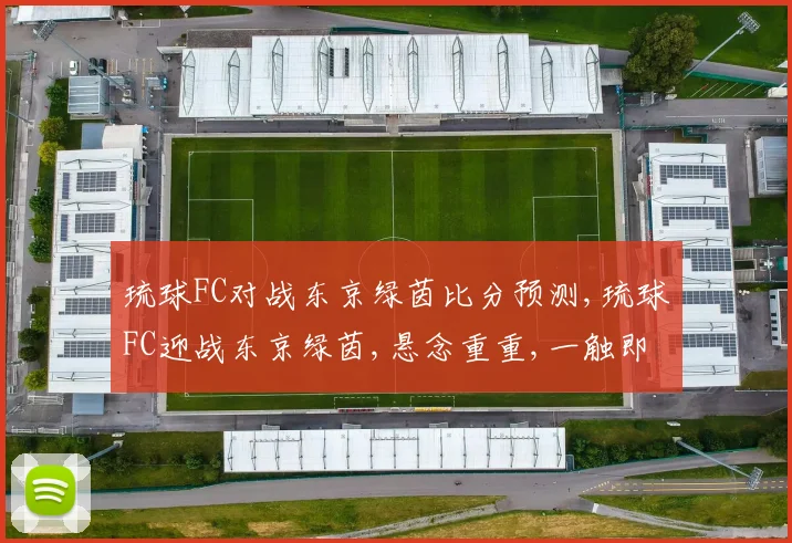 琉球FC对战东京绿茵比分预测,琉球FC迎战东京绿茵,悬念重重,一触即发