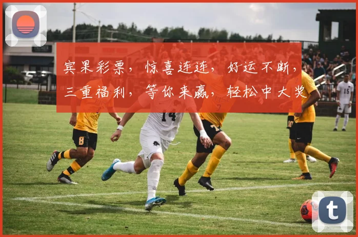 宾果彩票，惊喜连连，好运不断，三重福利，等你来赢，轻松中大奖